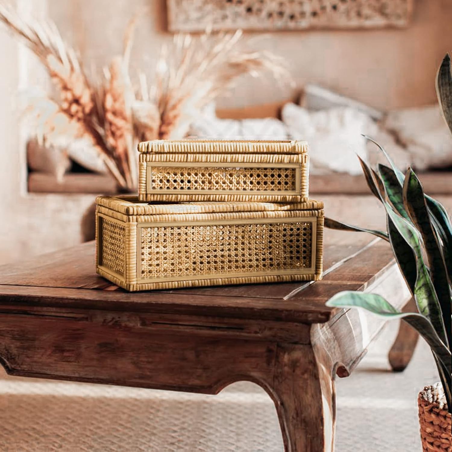 Handwoven Rattan Display Boxes With Glass‑Lids